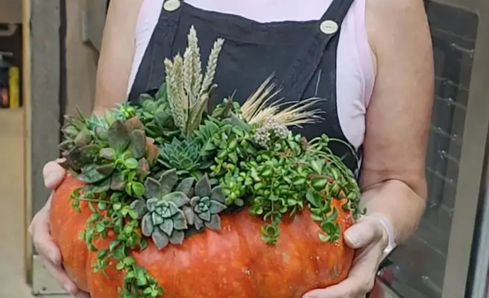 Succulent Pumpkin Class w/Tanya